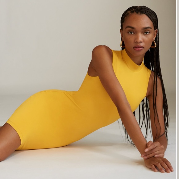 aritzia mock neck dress